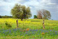 A Fine Spring Day