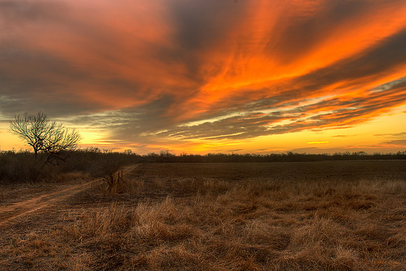 Glorius Sunrise