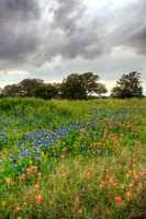 Spring Showers