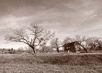 Old Homestead
