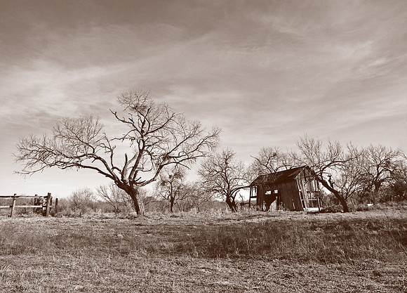 Old Homestead