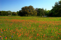 Sun Oil Company Road