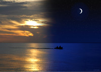 Into The Night