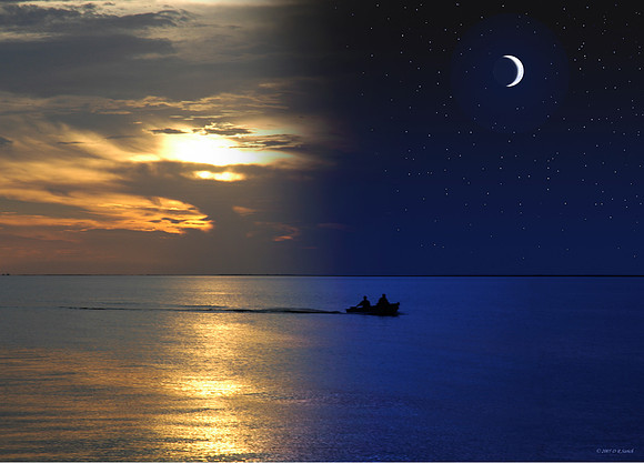 Into The Night