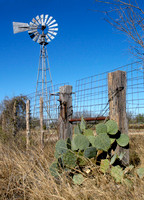 Just Texas