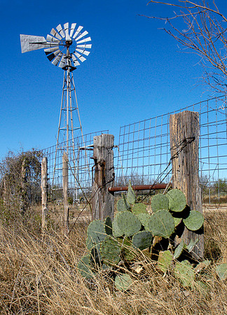 Just Texas