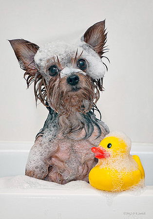 Bathtime